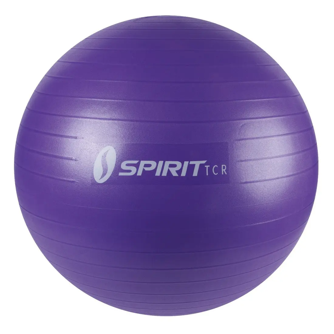 Spirit Gymnastikball Ø 65 Sitzball Fitnessball Yogaball Bürostuhl Ball + Pumpe Spirit Gymnastikball Ø 65 Sitzball Fitnessball Yogaball Bürostuhl Ball + Pumpe