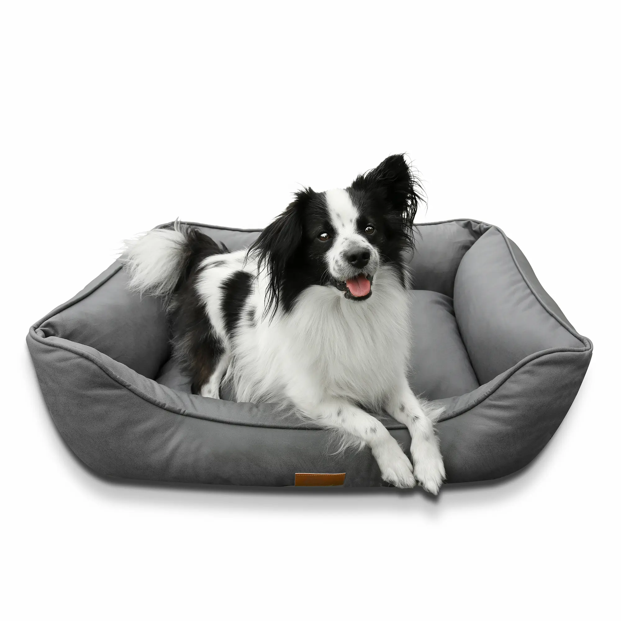 your GEAR Belluno 60x80 cm orthopädisches Hundebett, Hundekorb, OEKO-TEX, waschbar your GEAR Belluno 60x80 cm orthopädisches Hundebett, Hundekorb, OEKO-TEX, waschbar
