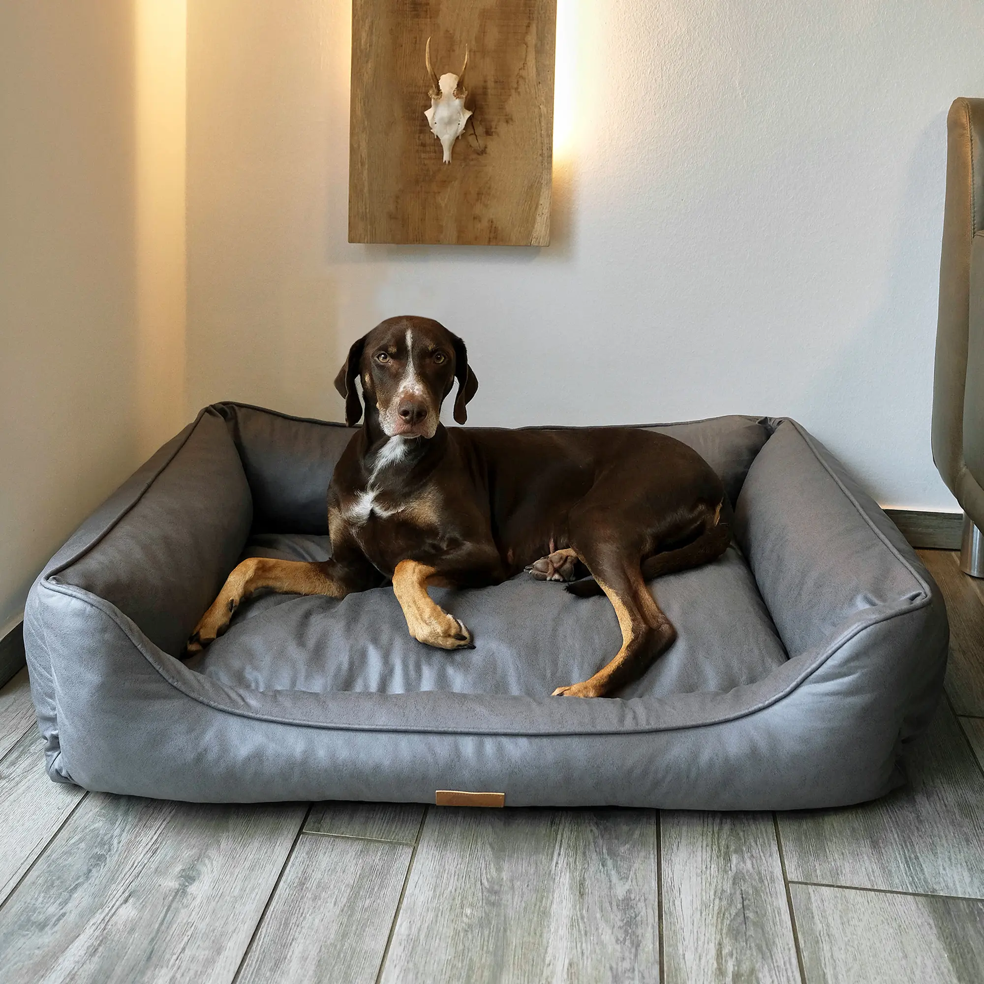 your GEAR Belluno 70x100 cm orthopädisches Hundebett, Hundekorb, OEKO-TEX, waschbar your GEAR Belluno 70x100 cm orthopädisches Hundebett, Hundekorb, OEKO-TEX, waschbar