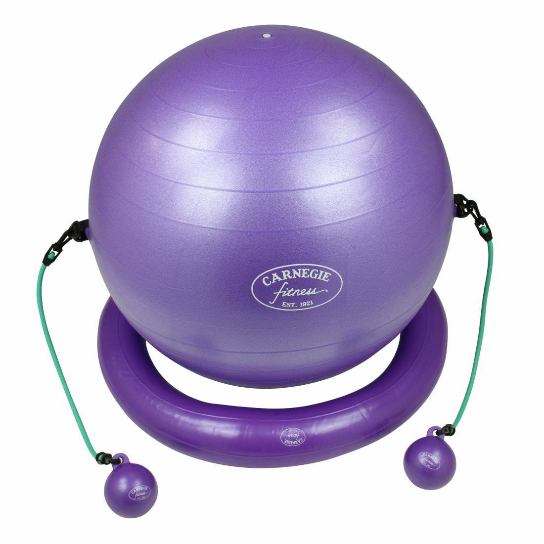 Carnegie Iso Gymnastikball Ø ca. 65 cm + Ring Widerstandsband Tubes Toning Balls DVD Poster
