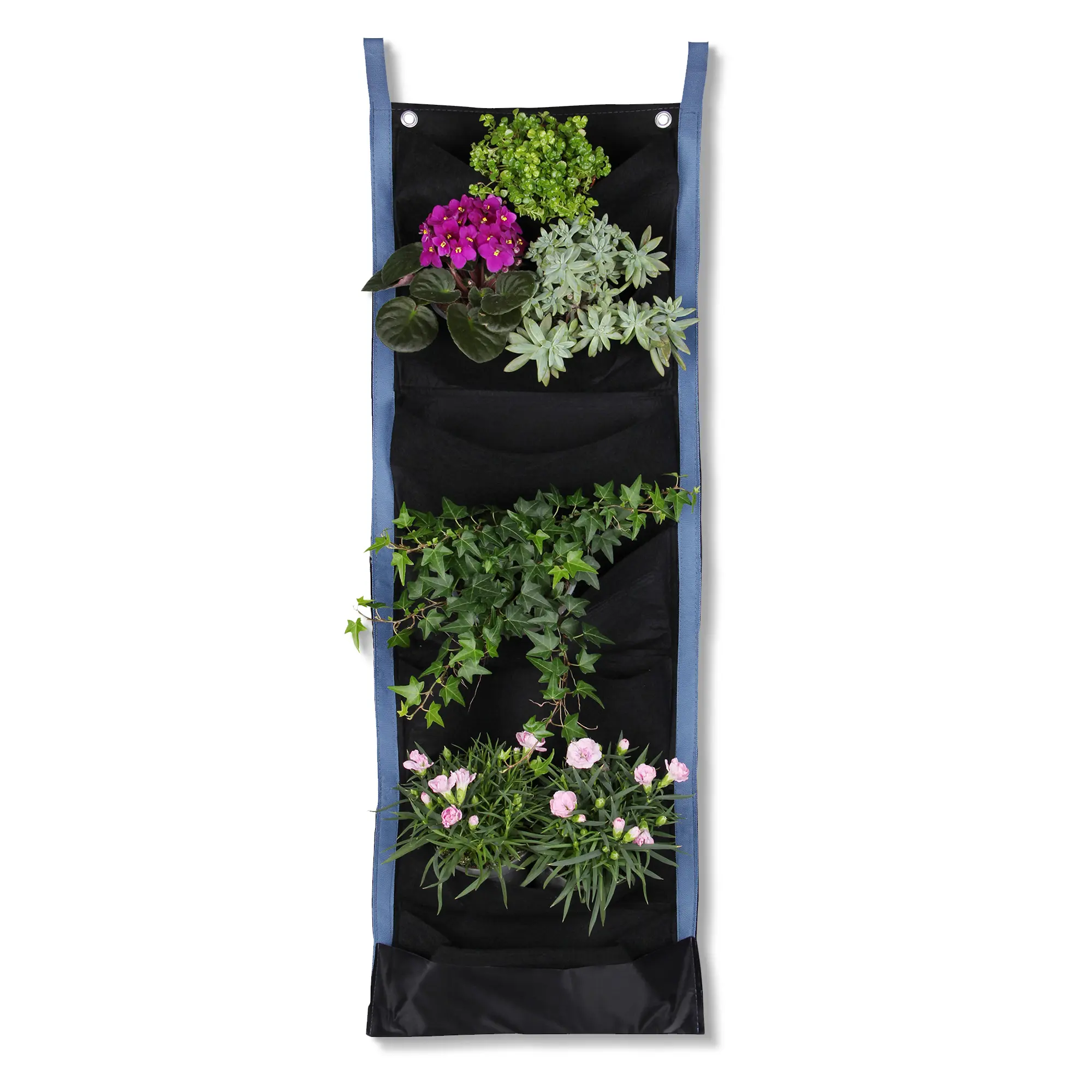 yourGEAR Growbag 7 Pflanztasche Pflanzbeutel Pflanzwand vertikaler Garten Wandbepflanzung yourGEAR Growbag 7 Pflanztasche Pflanzbeutel Pflanzwand vertikaler Garten Wandbepflanzung